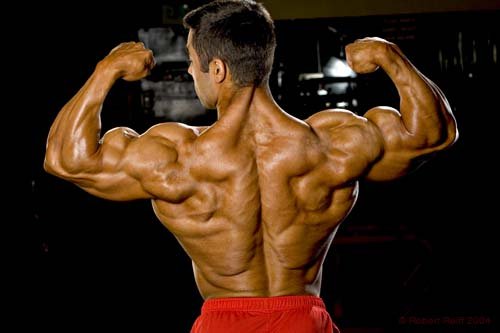 best supplements to gain muscle